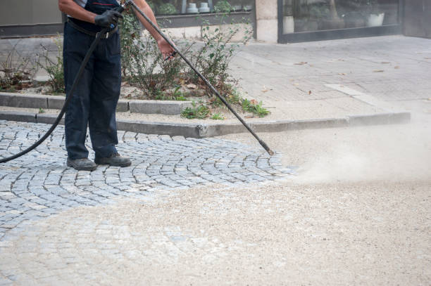 Best Dumpster Area Cleaning  in Amherst, VA