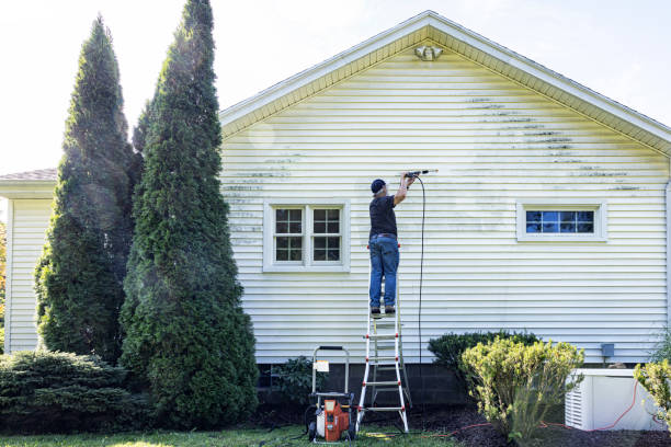 Best Roof Washing  in Amherst, VA